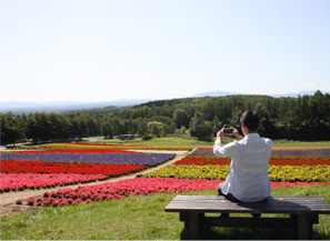 花都花園