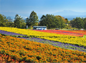 花都花園