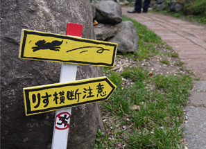 鄂霍次克花栗鼠公園