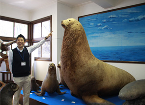 桂之丘公園與網走市立鄕土博物館