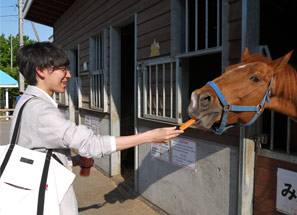 帶廣賽馬場(挽曳賽馬)