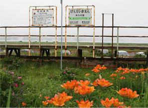 小清水原生花園