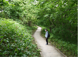 釧路濕原展望台