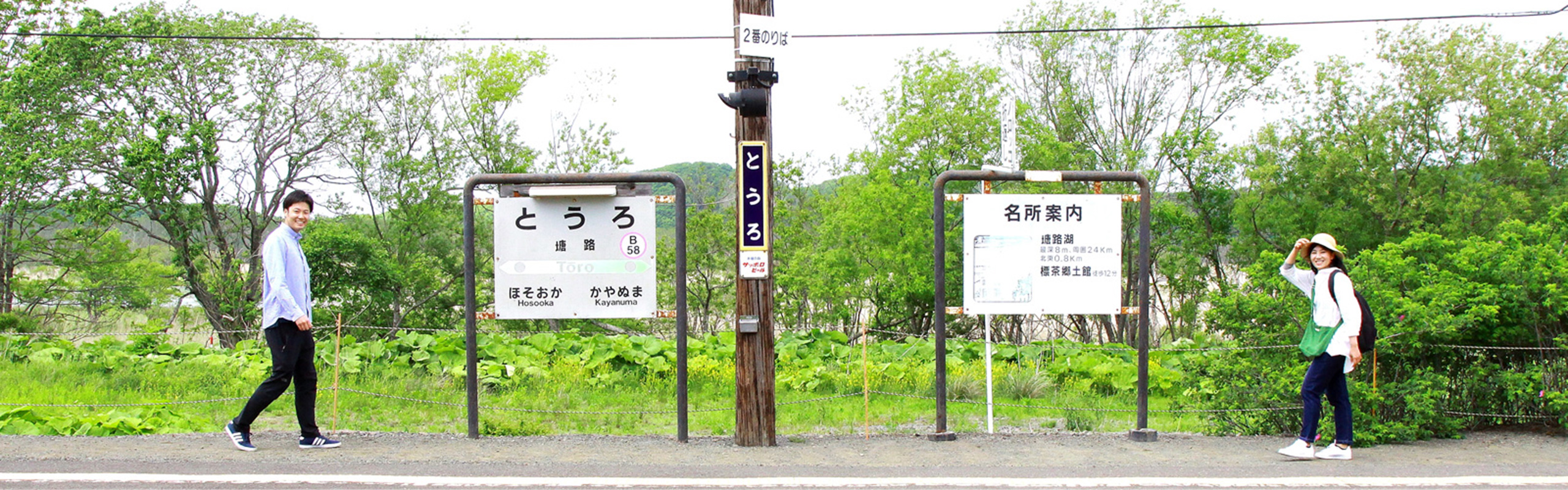 涼風夏日 乘著釧路濕原慢車號悠悠晃晃 盡賞道東美景
