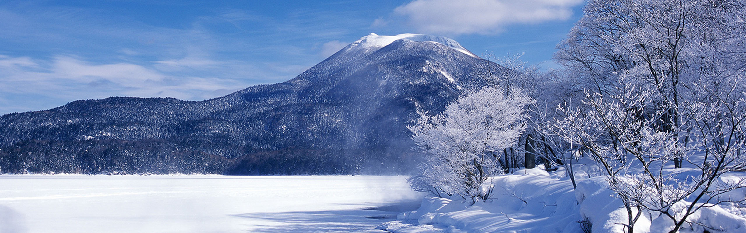 感受美好雪國！優雅丹頂鶴舞出阿寒湖之冬