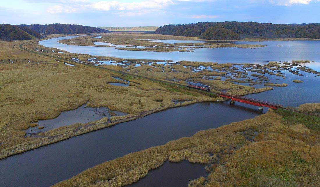 根室線（花咲線）